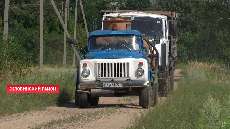 Военнослужащие помогают убирать урожай в Гомельской области-1