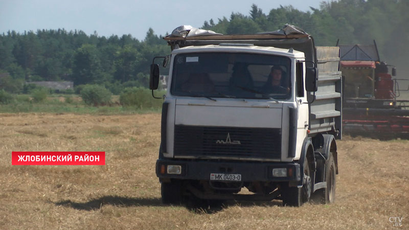 Военнослужащие помогают убирать урожай в Гомельской области-7