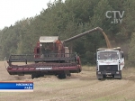 Хлеборобы Несвижского района первыми в Минской области закончили уборочную 