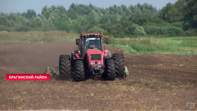 «Пераможник» стал лидером в гонке за урожай среди семи хозяйств Брагинского района. Аграрии делятся опытом-7