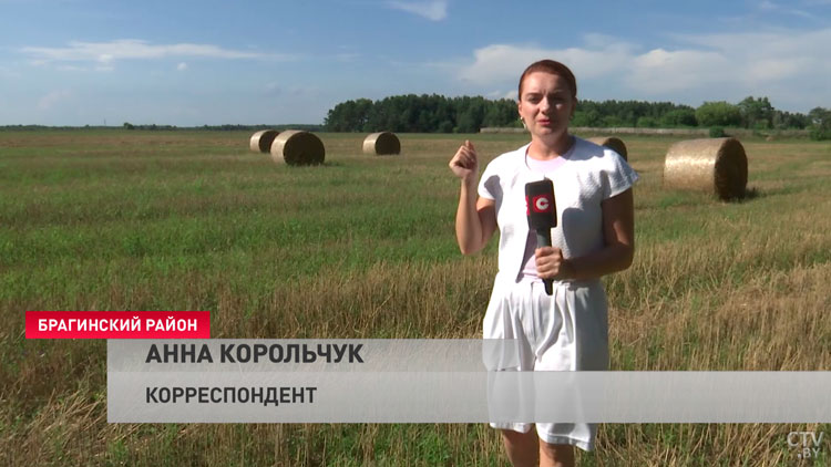 «Пераможник» стал лидером в гонке за урожай среди семи хозяйств Брагинского района. Аграрии делятся опытом-10