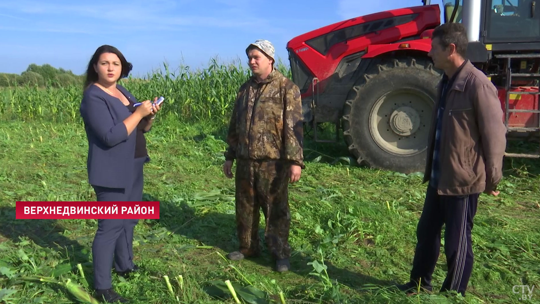 Мешают дожди и дикие животные. Аграрии Верхнедвинского района рассказывают, как убирают кукурузу-10