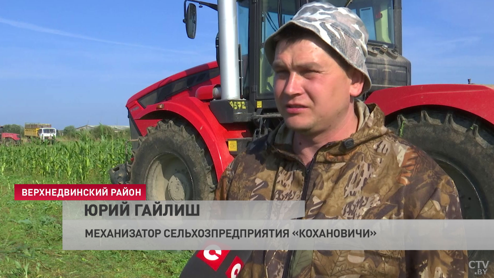 Мешают дожди и дикие животные. Аграрии Верхнедвинского района рассказывают, как убирают кукурузу-13