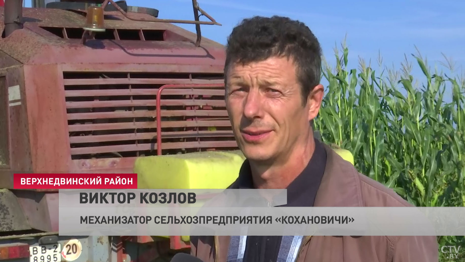Мешают дожди и дикие животные. Аграрии Верхнедвинского района рассказывают, как убирают кукурузу-16