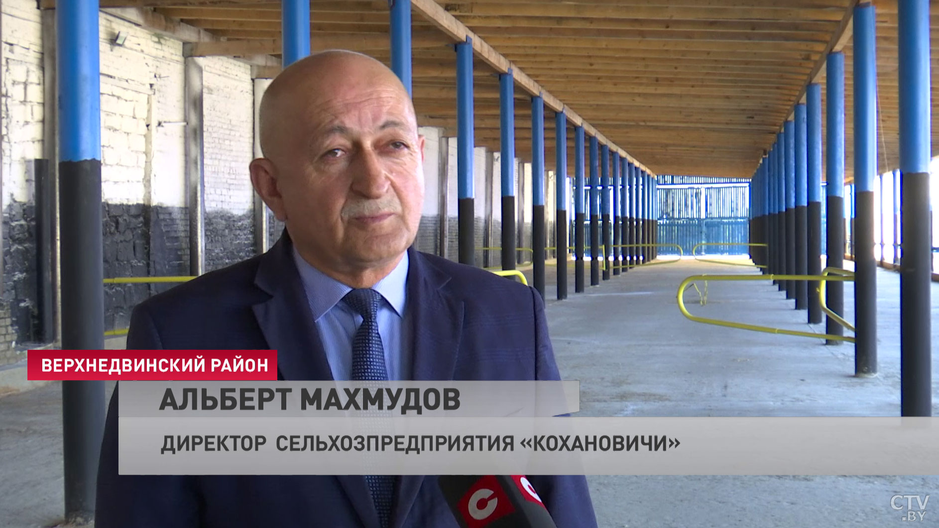 Мешают дожди и дикие животные. Аграрии Верхнедвинского района рассказывают, как убирают кукурузу-25