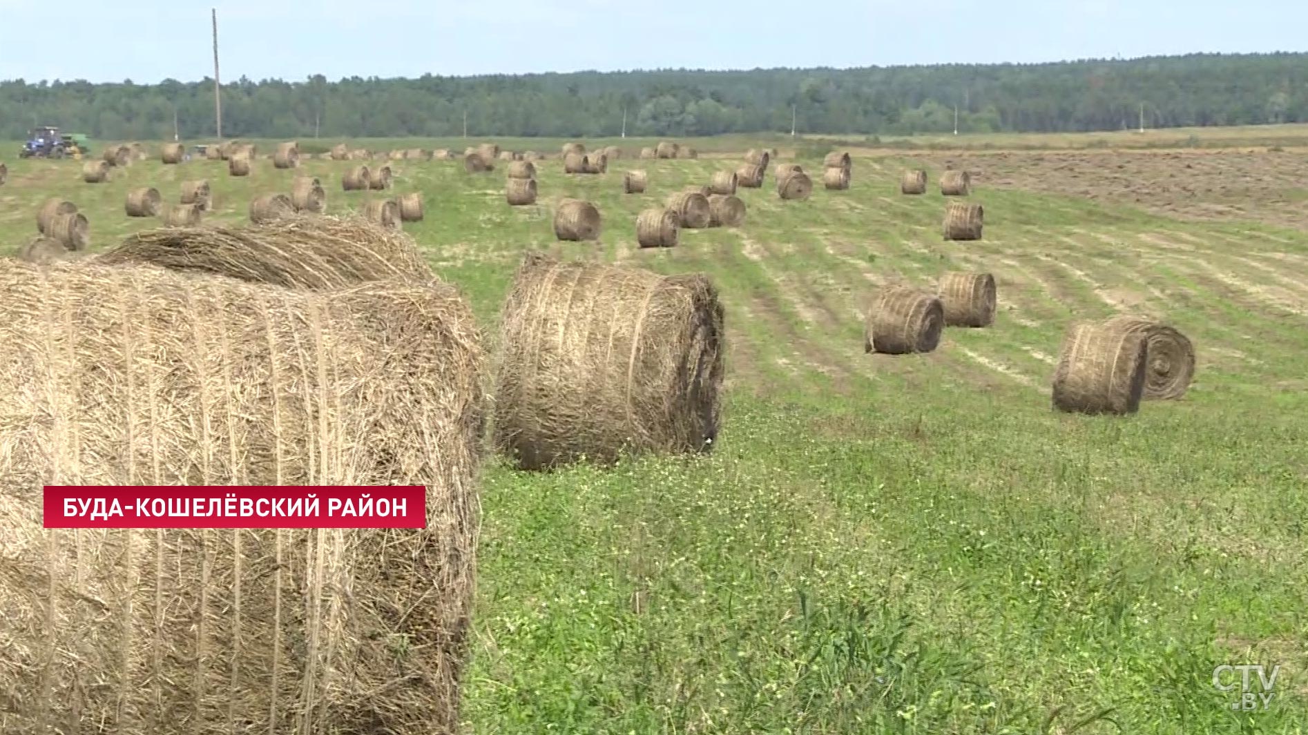 «Виды и результаты хорошие»: в Гомельской области приступили к уборке с полей льнотресты-13