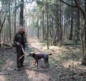 1440 литра мусора: в Барановичах школьники и экологи вышли на добровольную уборку леса