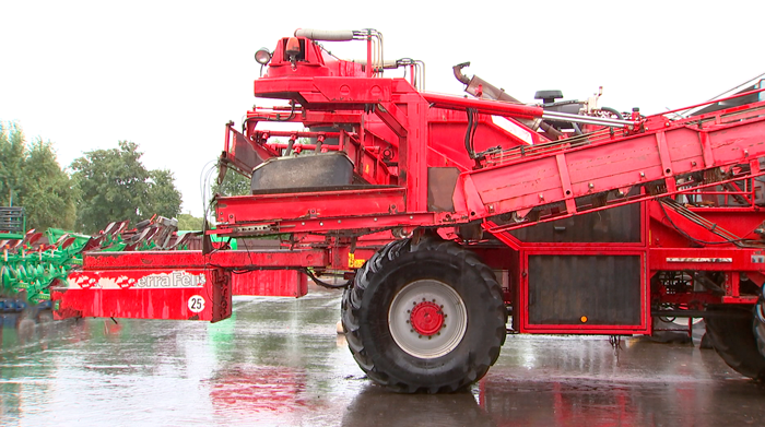 Площадь посевов – 35 тыс. гектаров. Как в Минской области готовятся к уборке сахарной свёклы?