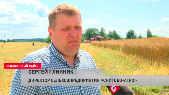 «Всё подготовлено на 100 процентов». Завершается уборка озимого ячменя в Брестской области-3
