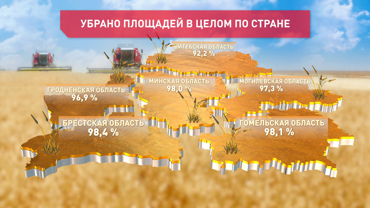 В Беларуси убрано 96,8% площадей зерновых и зернобобовых
