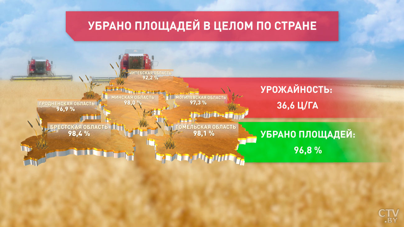 В Беларуси убрано 96,8% площадей зерновых и зернобобовых-1