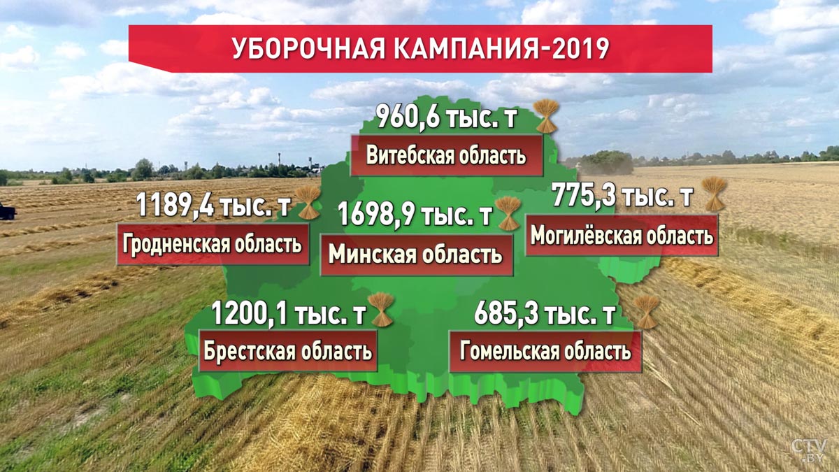 В Беларуси намолотили 6 миллионов 510 тысяч тонн зерна -1