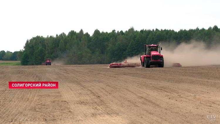 Более 1,7 млн тонн зерна с учётом рапса собрали в Минской области-1