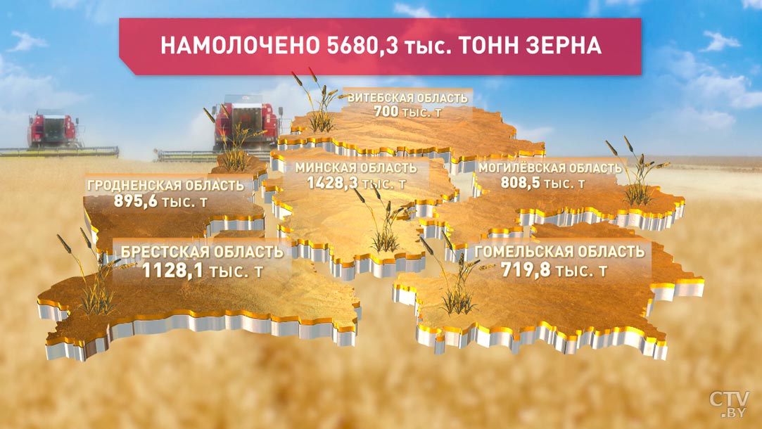 В Беларуси уже собрали более 5 млн тонн зерна-1
