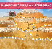 В Беларуси уже собрали более 5 млн тонн зерна