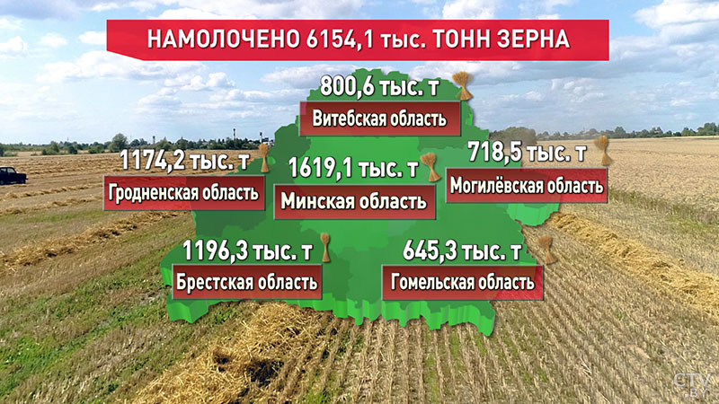 Лидируют аграрии Минской области: в Беларуси убрали уже более 6 млн тонн зерна-1