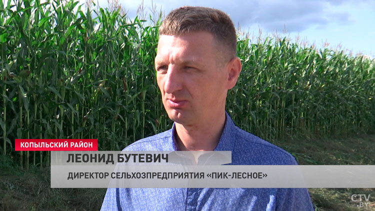 К уборке кукурузы на силос приступили 15 районов Минской области-4