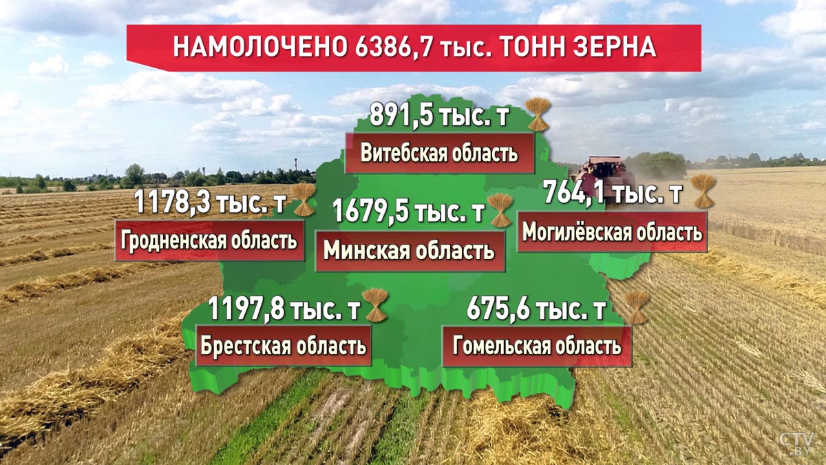 В Беларуси собрали 6 миллионов и почти 400 тысяч тонн зерна-1