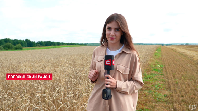 Легендарный экипаж снова в лидерах! Посмотрели, какие условия создают для хлеборобов на уборочной-16