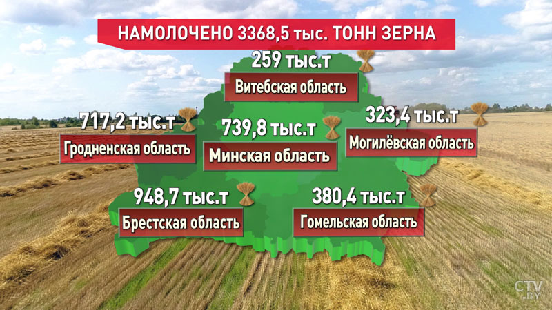 Уборочная – 2019. Аграрии Брестской области намолотили почти 950 тыс. тонн зерна-4