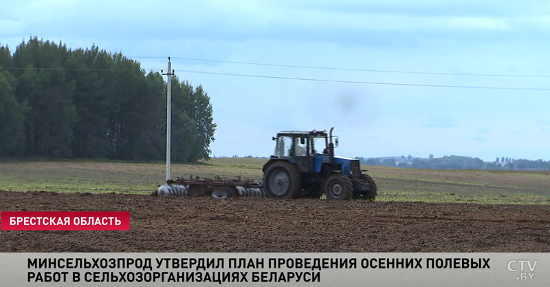 В Беларуси утверждён план осенних полевых работ-1