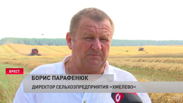 «Если хороший урожай и техника не подвела, то заработаешь». Как погода в Беларуси сказывается на темпах уборочной?-10