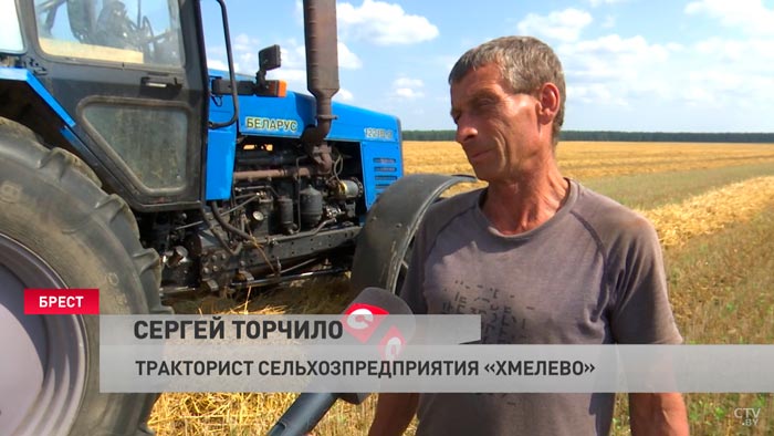 «Если хороший урожай и техника не подвела, то заработаешь». Как погода в Беларуси сказывается на темпах уборочной?-19