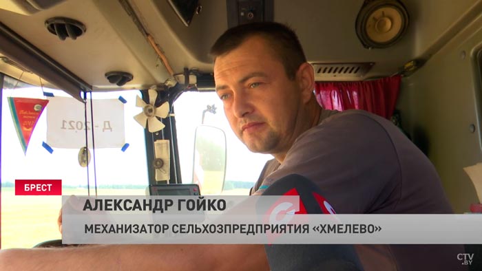 «Если хороший урожай и техника не подвела, то заработаешь». Как погода в Беларуси сказывается на темпах уборочной?-13