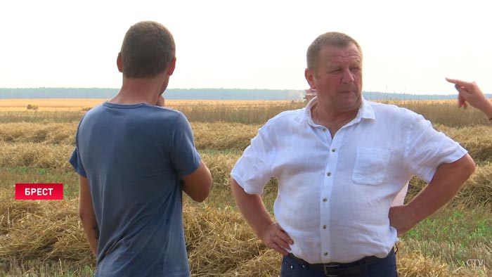 «Если хороший урожай и техника не подвела, то заработаешь». Как погода в Беларуси сказывается на темпах уборочной?-16