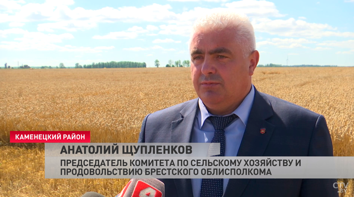 Качество и минимальные потери. По темпам уборочной лидирует Брестская область-4 Качество и минимальные потери. По темпам уборочной лидирует Брестская область-4