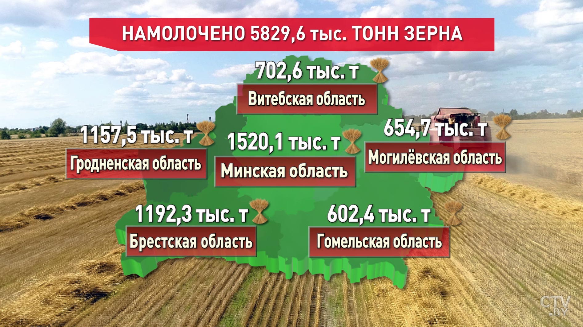 В Беларуси убрано почти 86% посевных площадей. Лидирует Минская область-1