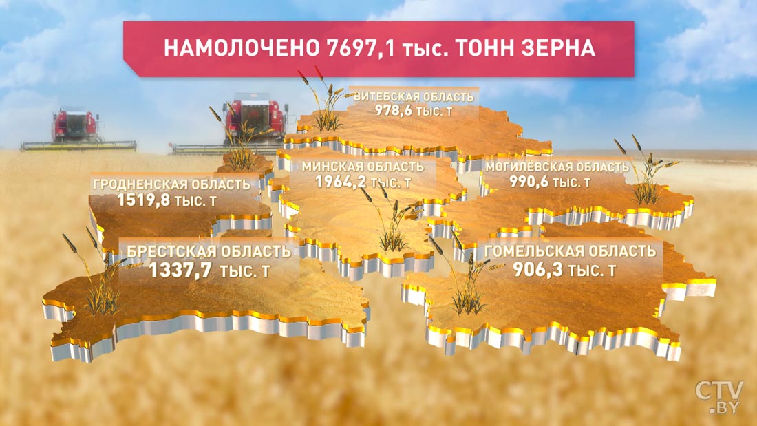 В Беларуси намолотили почти 7,7 млн тонн зерна. В уборочной участвуют и молодёжные экипажи-1