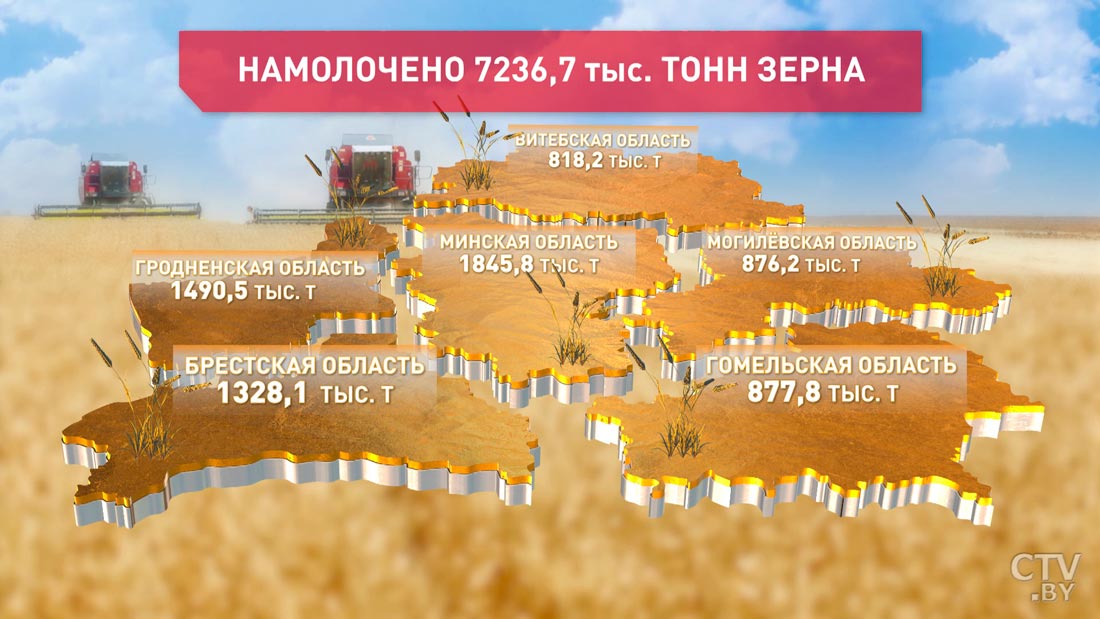 Свыше 7,2 млн тонн зерна собрано в Беларуси-1