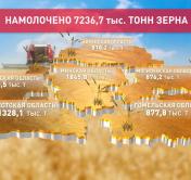 Свыше 7,2 млн тонн зерна собрано в Беларуси