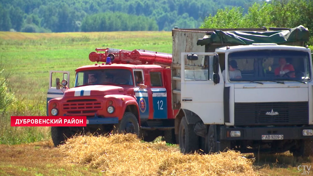 Аграрии Витебской области вышли на максимальные темпы уборки зерновых. Поставлена задача завершить страду до 1 сентября-1