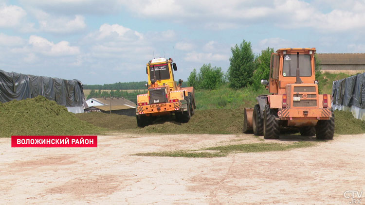 Аграрии Минской области приближаются к отметке в 2 млн тонн зерна с учётом рапса-7