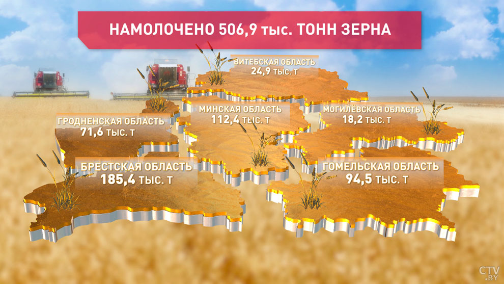 В Беларуси собрали более 500 тысяч тонн зерна. В лидерах жатвы Брестская область-1