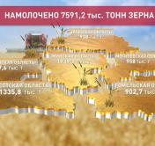 Собрали почти 7,6 млн тонн зерна. В лидерах комбайнеры Минской, Гродненской и Брестской областей