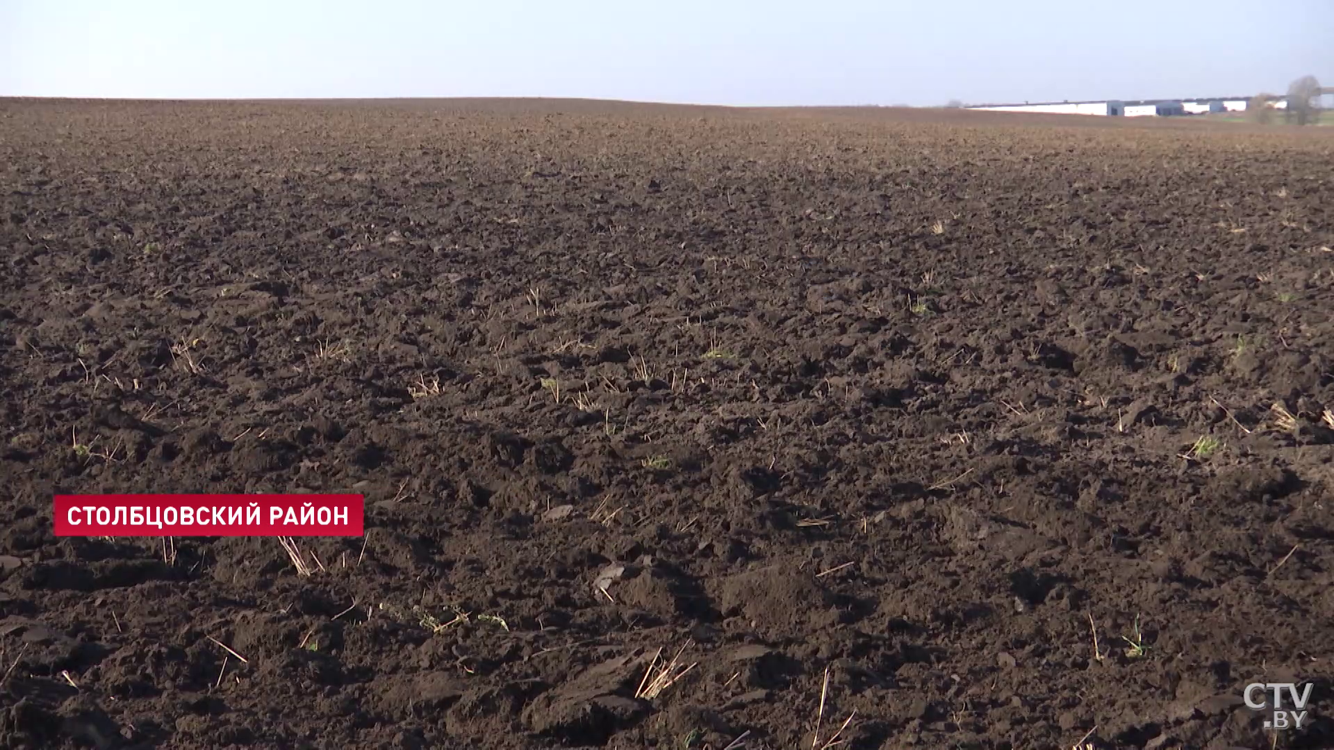 У аграриев есть несколько дней, чтобы убрать кукурузу. Что для этого делают на полях в Столбцах?-28