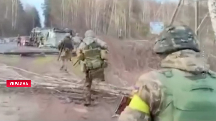 Масштабные учения для украинских военных провели на границе с Беларусью-1