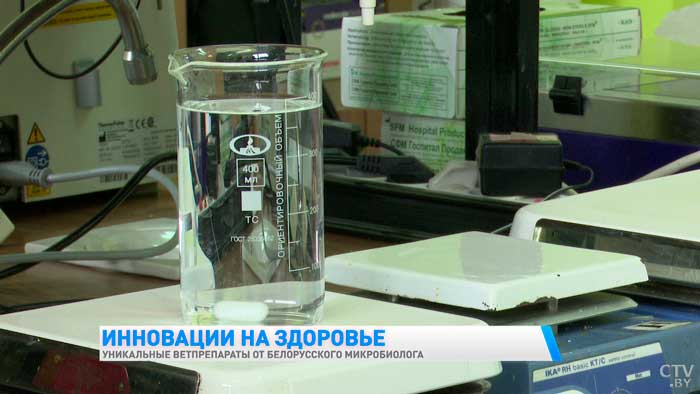 «Заболел любимый верблюд». В Беларуси есть уникальное лекарство для животных, которое интересно во всём мире-7