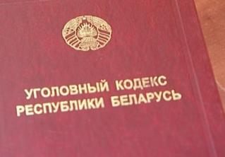 В Могилёве двое мужчин подозреваются в краже шести деревьев
