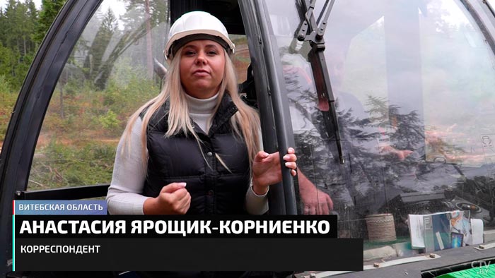 Президент подписал указ, который упрощает получение древесины. Как быстрее получить кубометры?-19