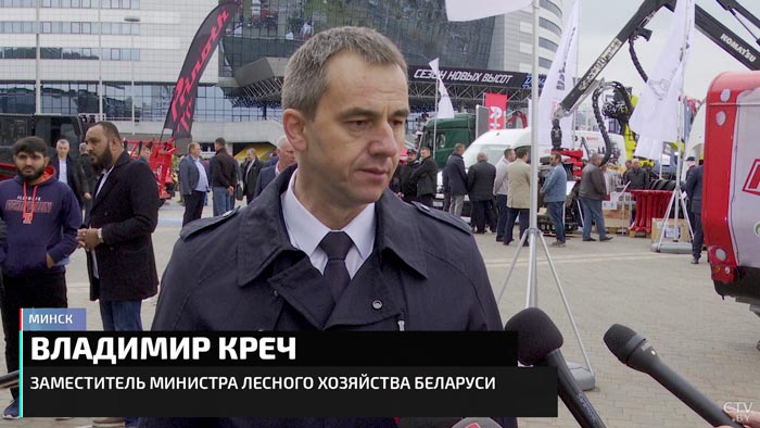 Президент подписал указ, который упрощает получение древесины. Как быстрее получить кубометры?-4
