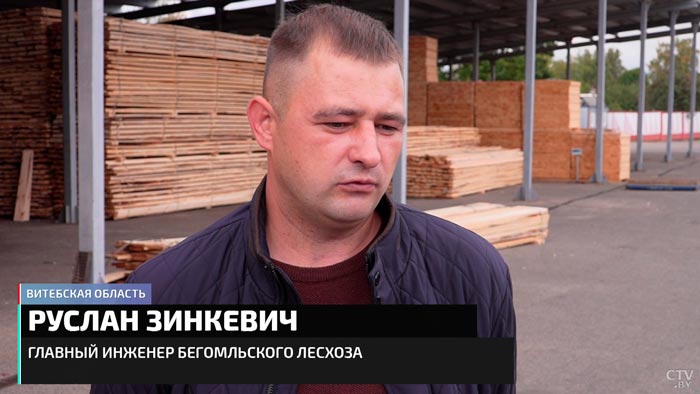 Президент подписал указ, который упрощает получение древесины. Как быстрее получить кубометры?-7