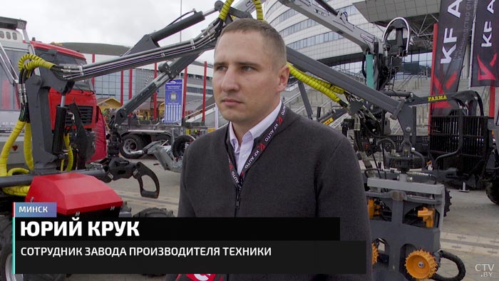 Президент подписал указ, который упрощает получение древесины. Как быстрее получить кубометры?-16