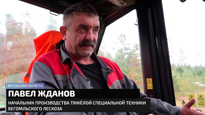 Президент подписал указ, который упрощает получение древесины. Как быстрее получить кубометры?-25