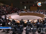 В Совбезе ООН предлагают расследовать в Украине все случаи притеснения по национальному признаку