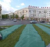 Чем накрывают цветы в Минске, чтобы они не замёрзли?