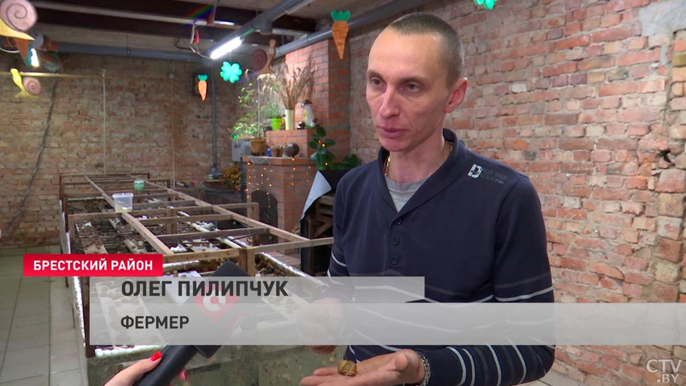 Быстро размножается, легко усваивается и крайне полезна. Почему разведение улиток – это гениальная бизнес-идея для белорусов?-1